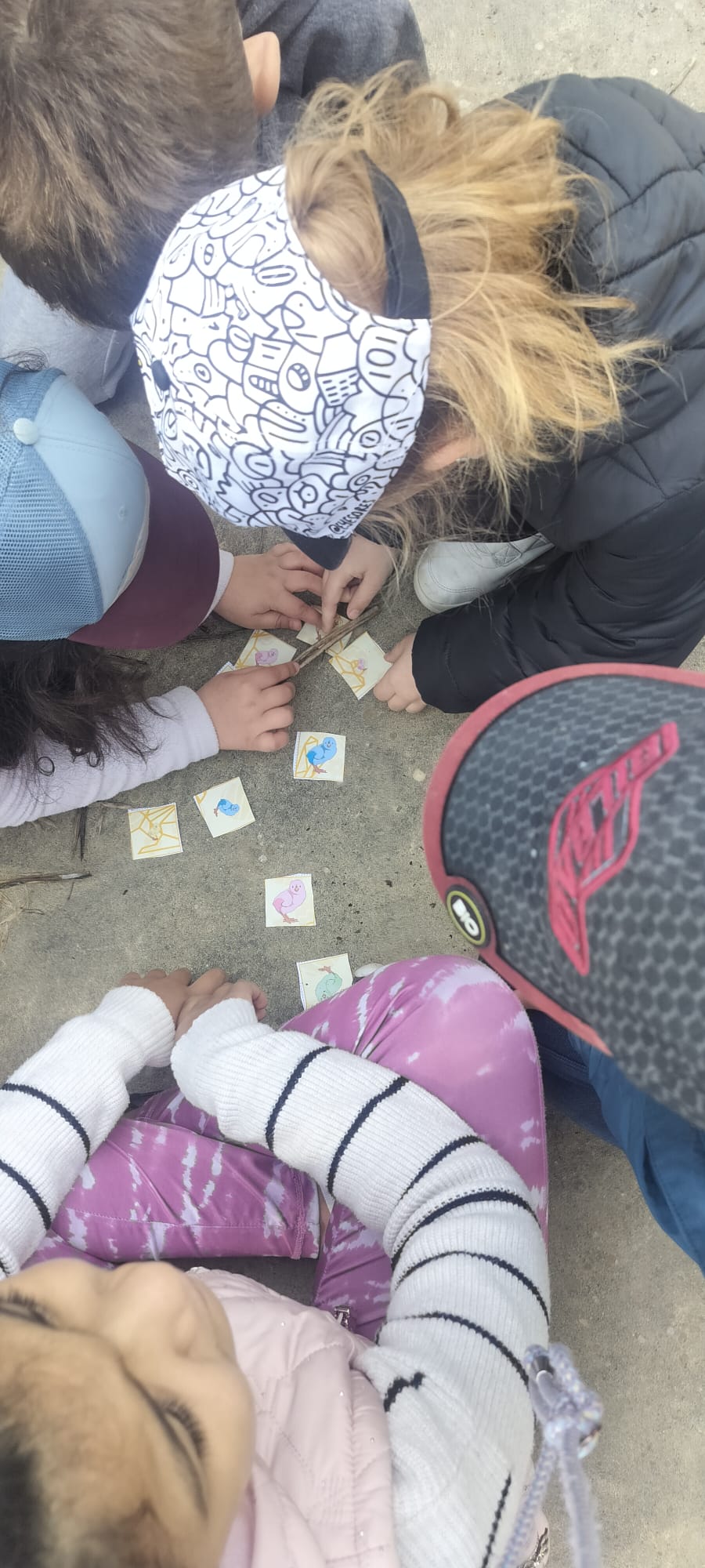 WhatsApp Image 2026-03-27 at 12.50.45