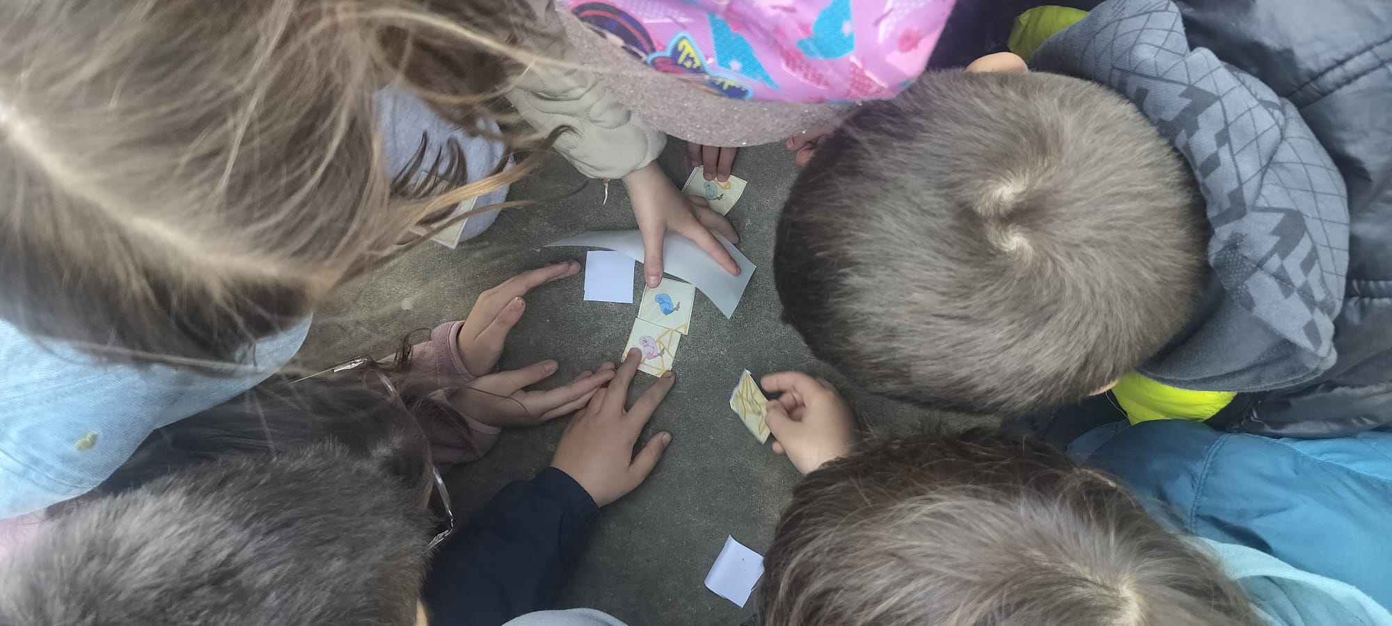 WhatsApp Image 2026-03-27 at 12.50.46