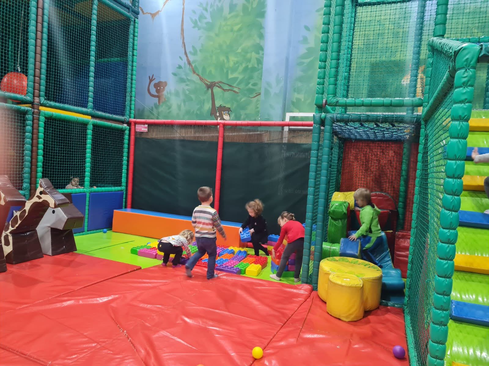 IMG-20250221-WA0042-min