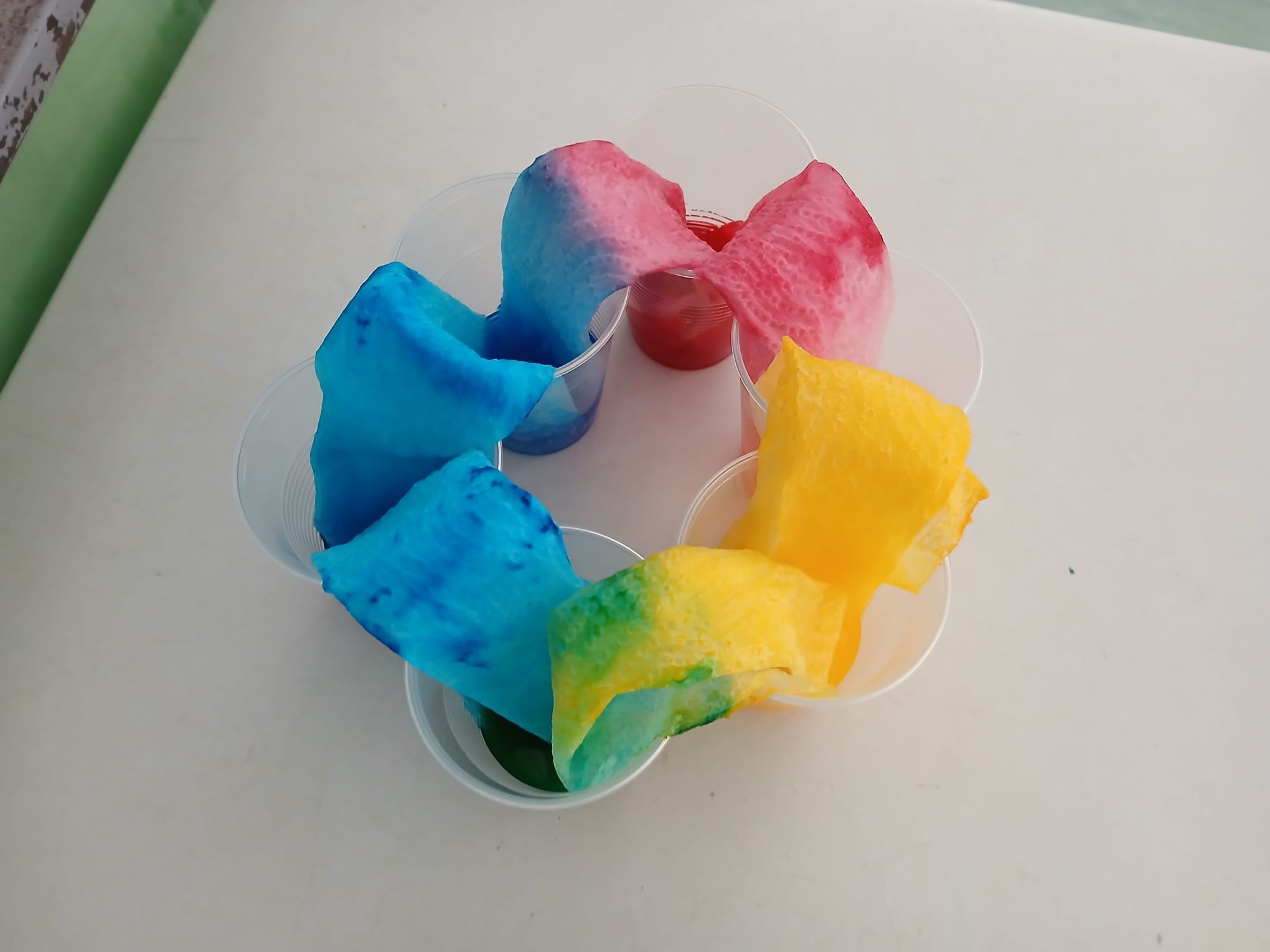 b3ade206-021d-4b05-a6d3-e9777ec41f7f