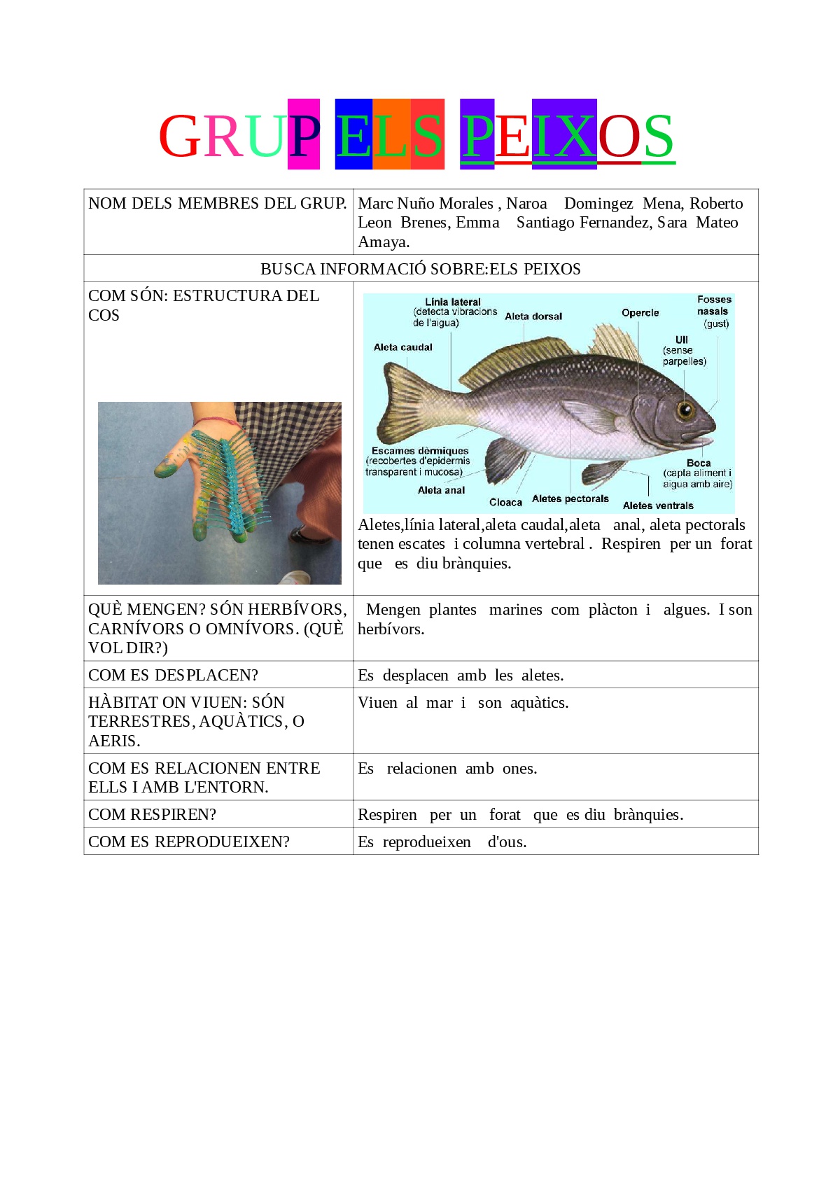 ELS PEIXOS_