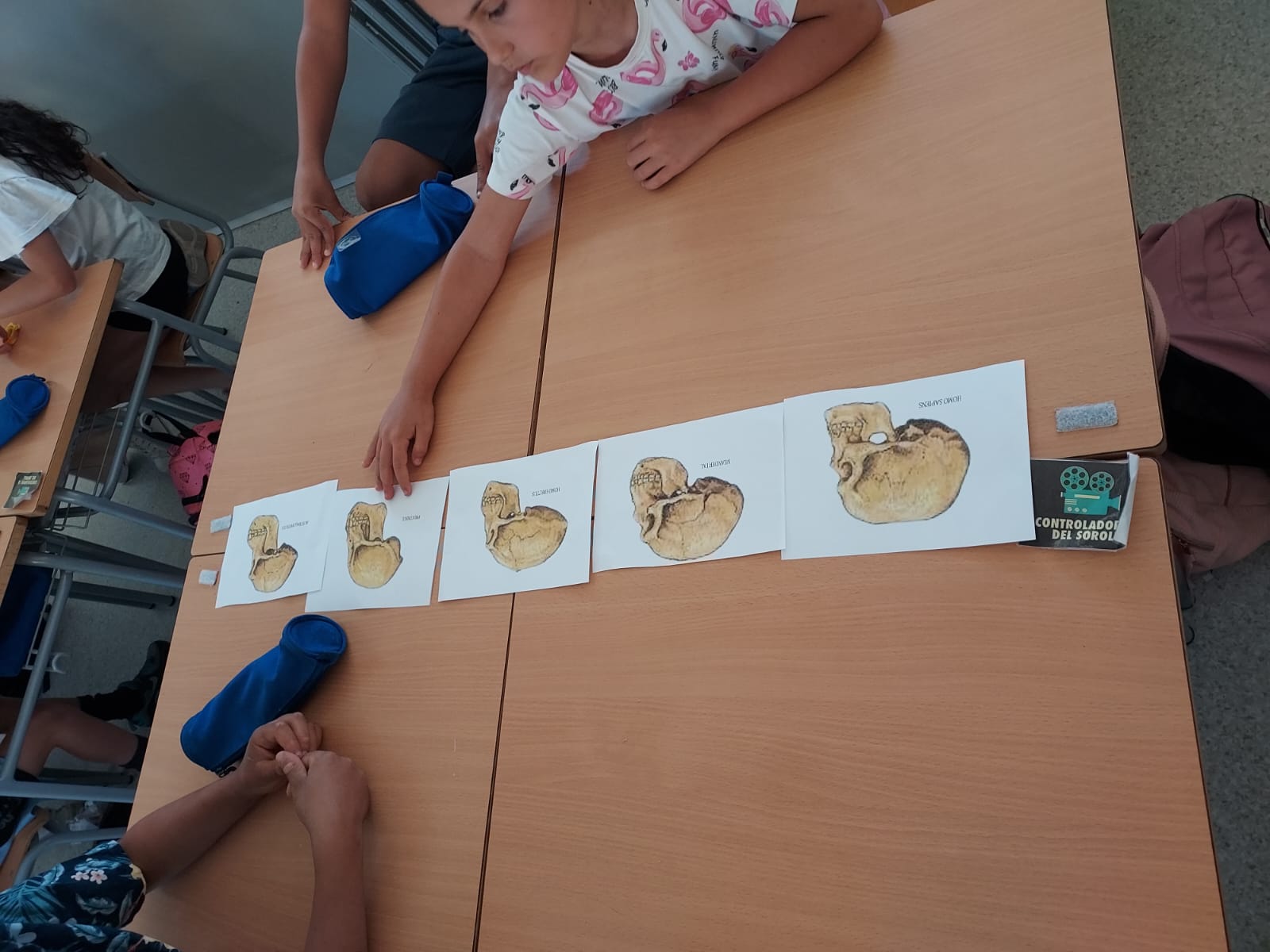 WhatsApp Image 2025-06-26 at 13.47.10 (2)