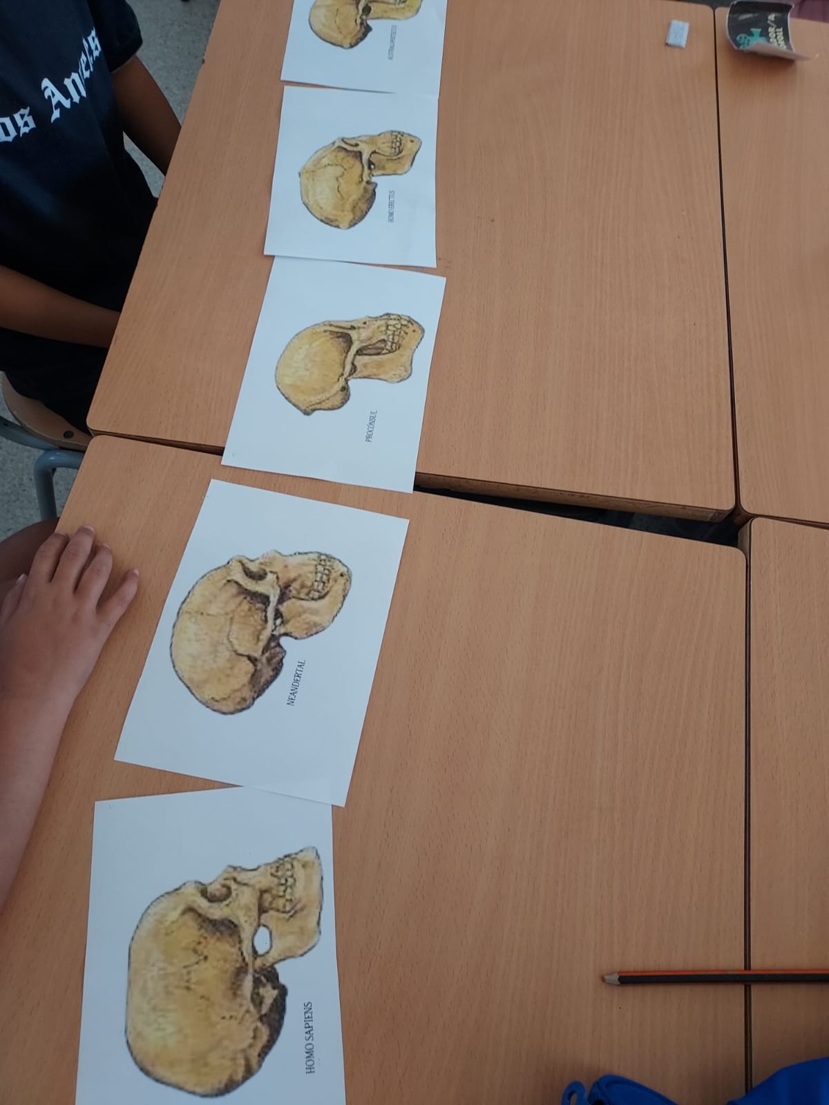 WhatsApp Image 2025-06-26 at 13.47.10 (3)