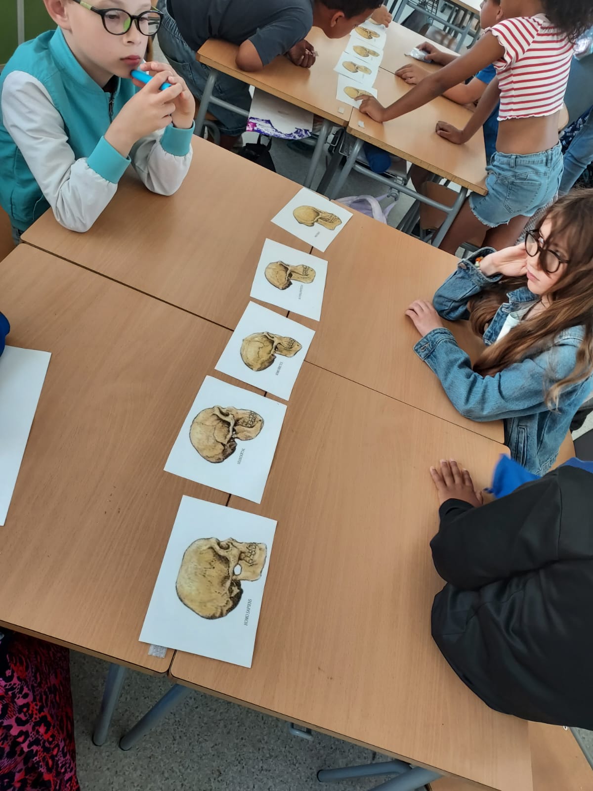 WhatsApp Image 2025-06-26 at 13.47.10 (4)