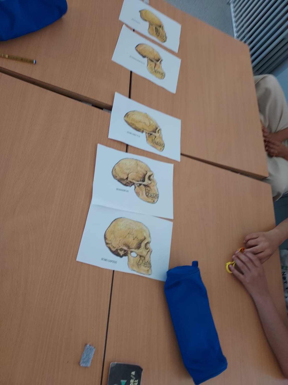 WhatsApp Image 2025-06-26 at 13.47.10