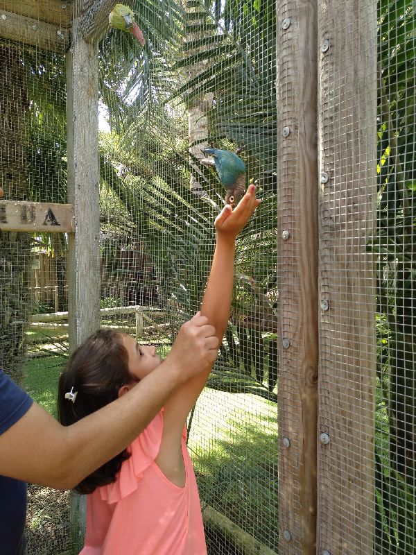 10.	 Quan vam anar al “jardín del papagallo” que jo tenia por de donar-lis de menjar als ocells. Això esta a Peñíscola, anem molt a les vacances d´estiu.  