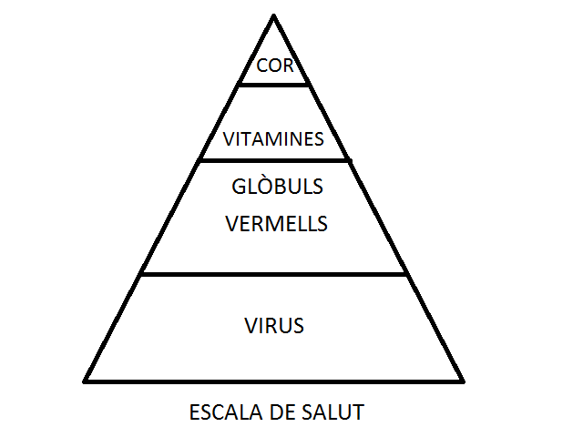 Escala de salut