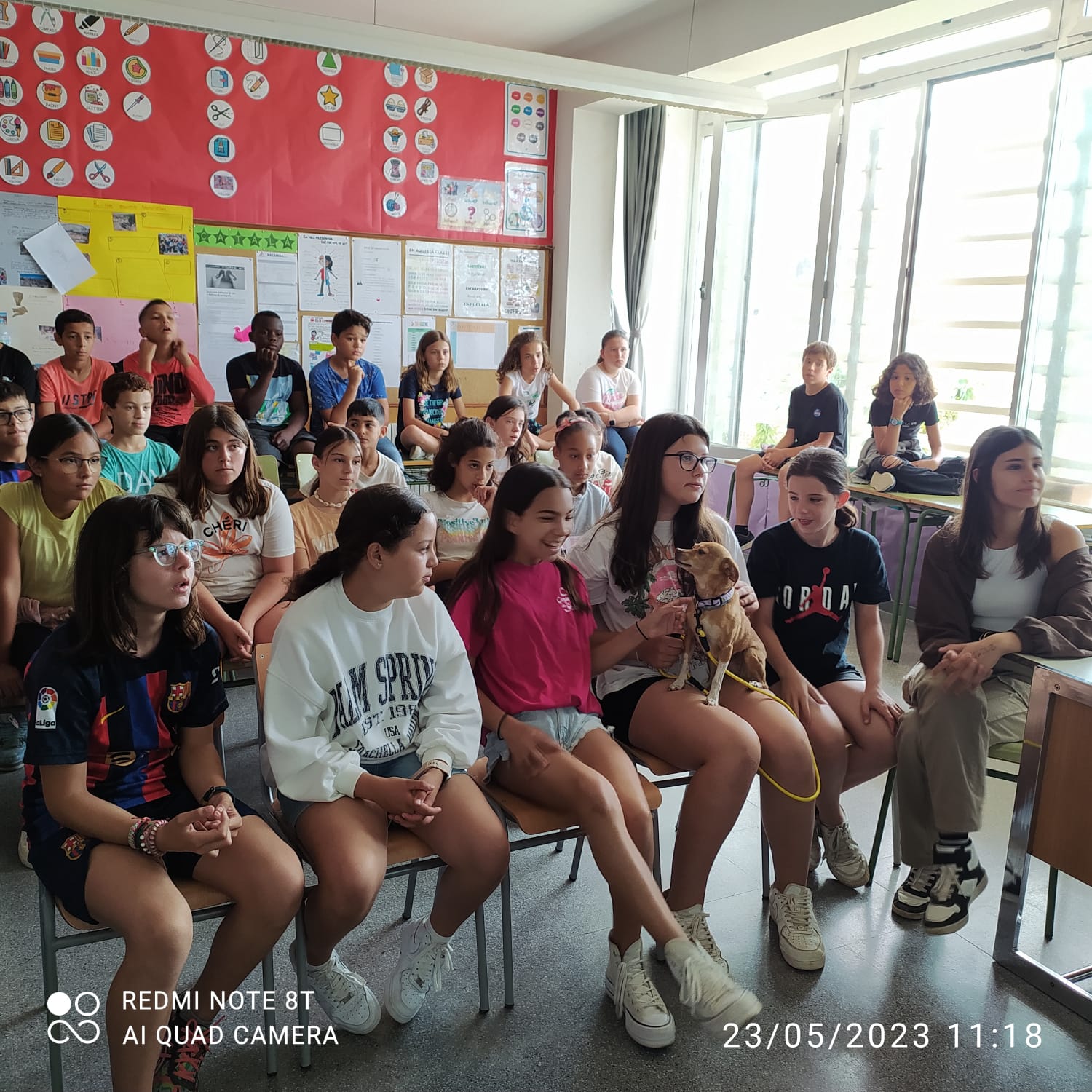 1831757a-ea42-45fe-aea7-53a1b7aba088