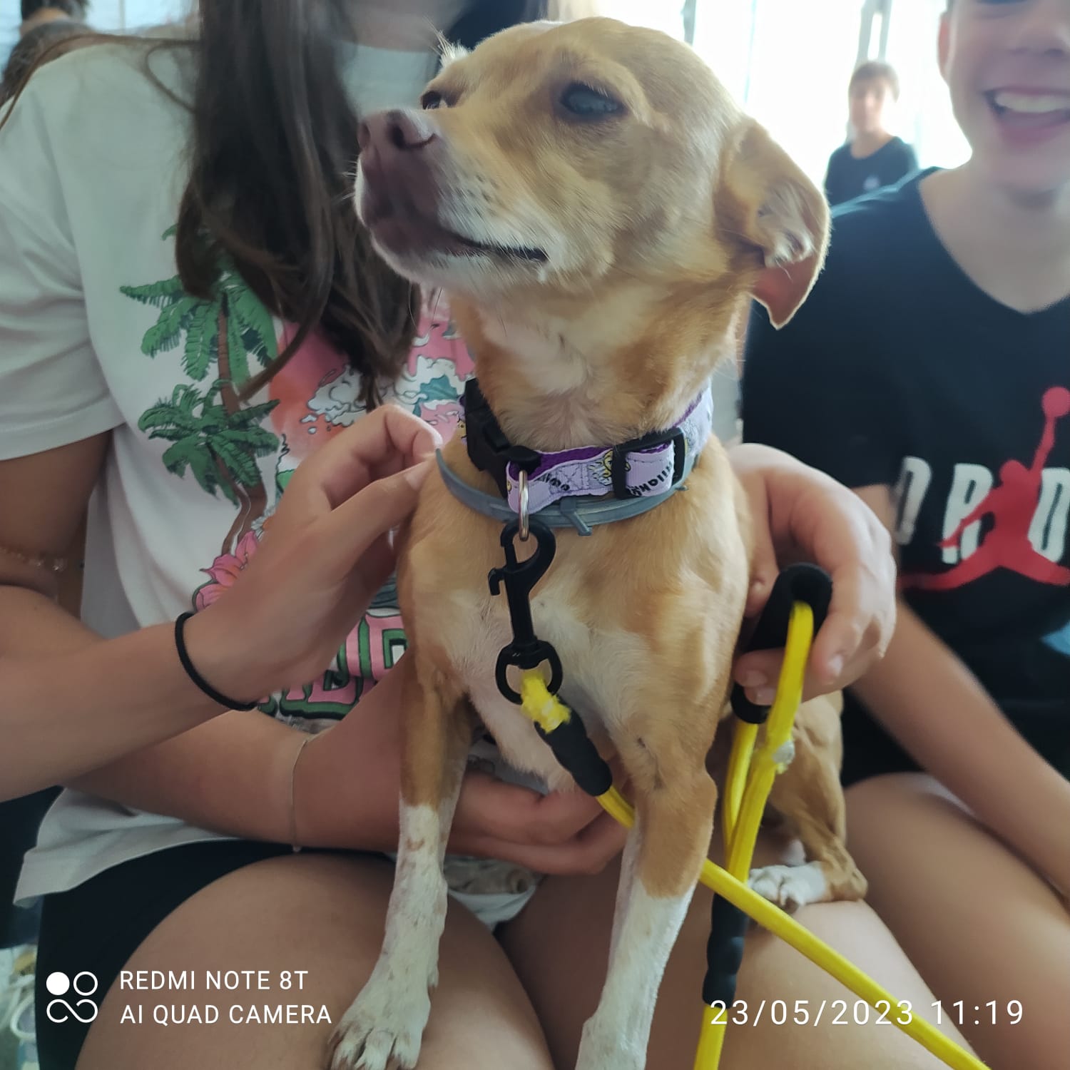 4739da1b-6de4-44be-ba8c-aa3583a74149