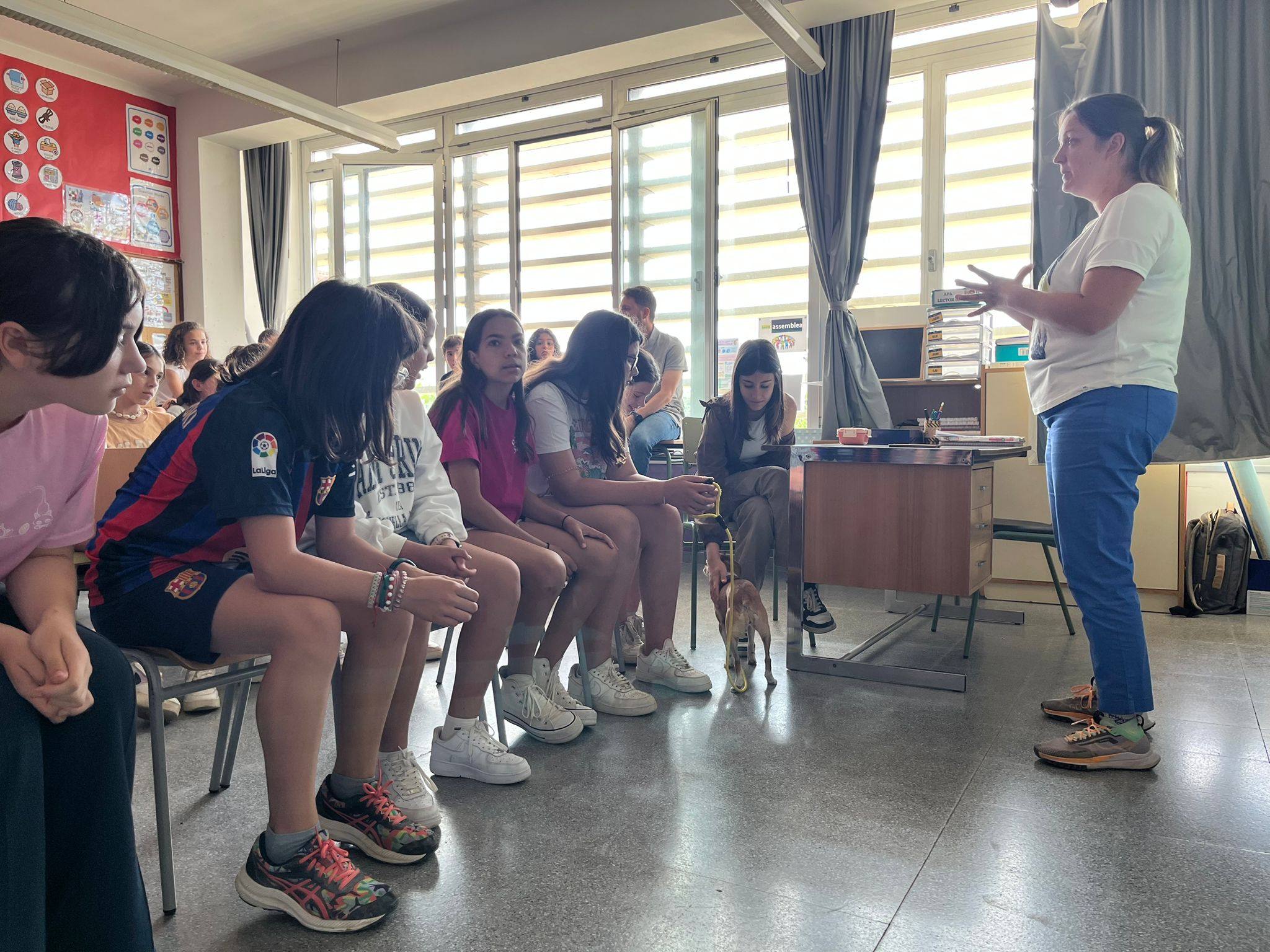 ce82a49e-2833-478b-bcc8-ea870751a402