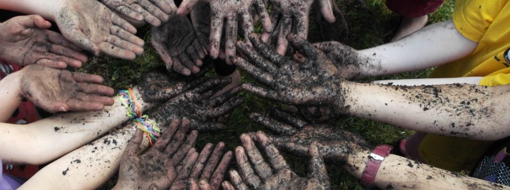 L'Àmbit Pràctic del Domus