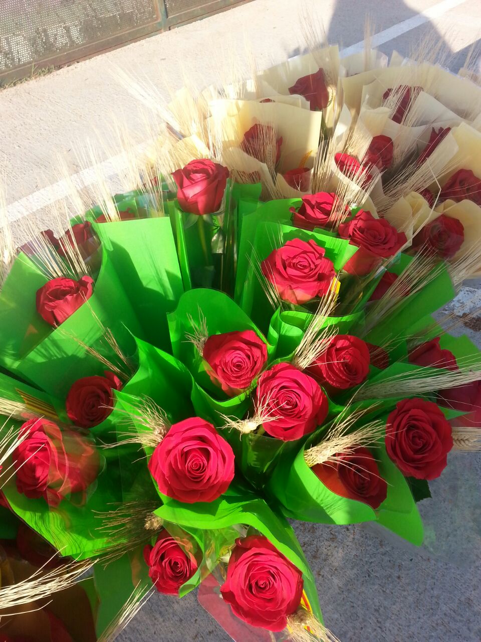 Les nostres roses de Sant Jordi