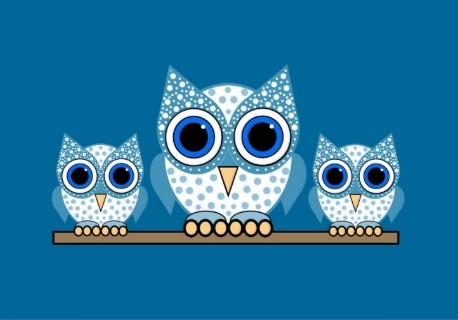 DESCOBRIM ELS ANIMALS