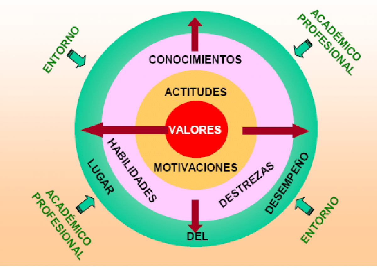 Aprendizajes e intuiciones