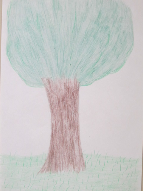 4. 2- 11-11_0853