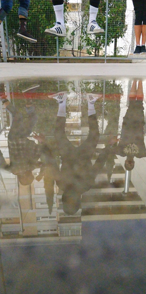 IMG_20190118_141526__01 (1)