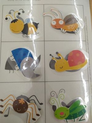 figura fons insectes