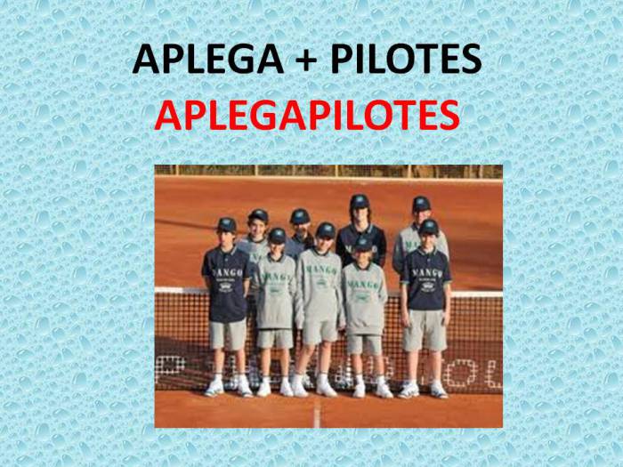 aplegapilotes