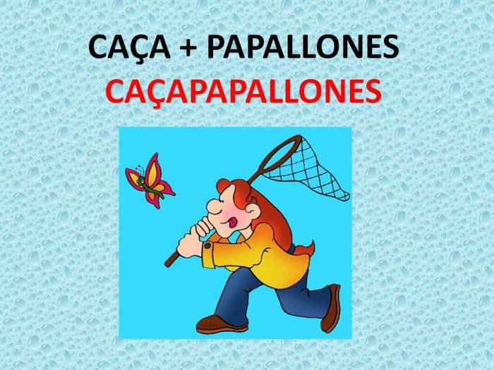 cac3a7apapallones