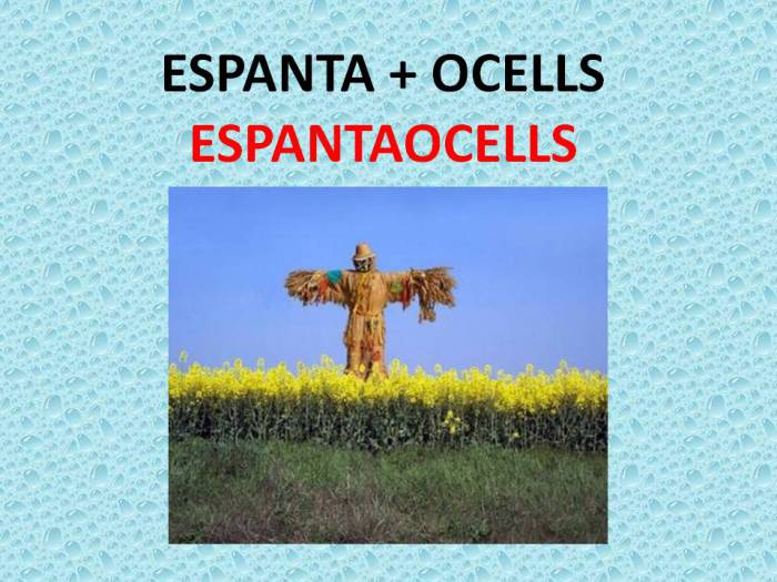 espantaocells