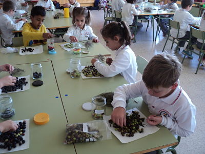 dsc02923_opt