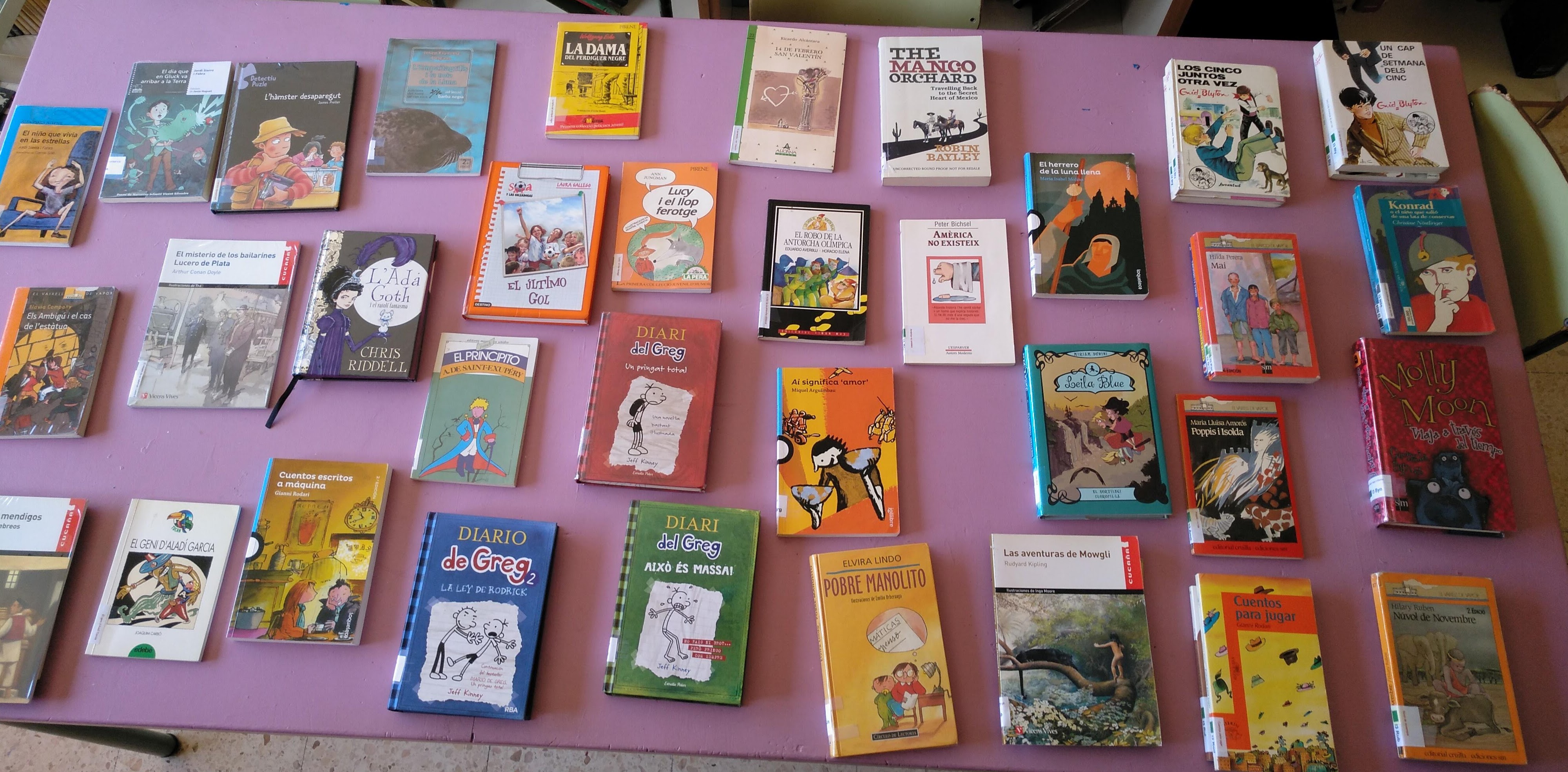Llibres d'imaginació