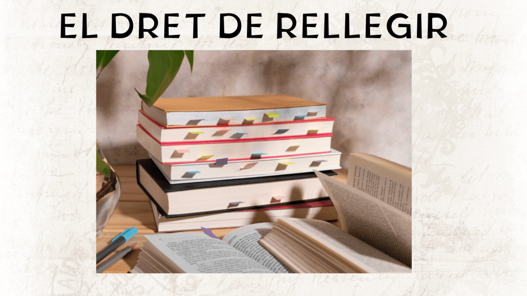 Drets lector (4)