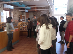 visita-biblioteca