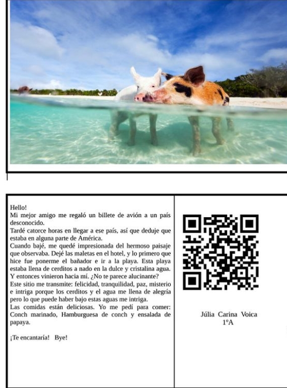 Creacions dels nostres alumnes