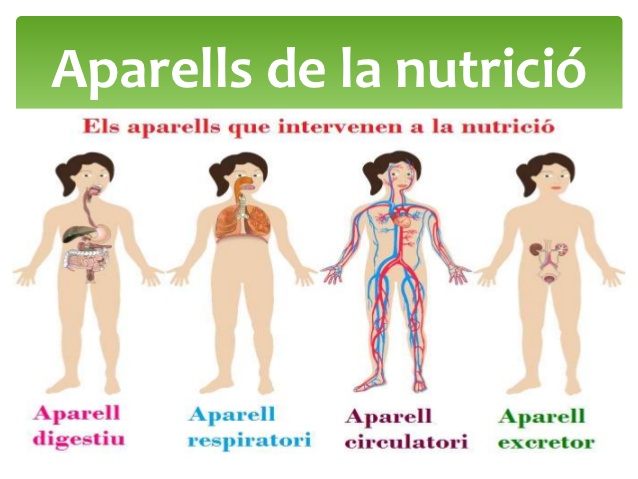 APARELLS NUTRICIÓ
