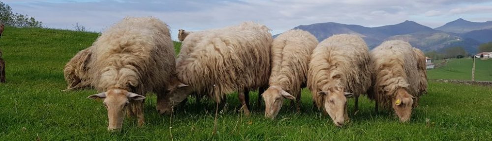 Blog del Departament de Biologia.