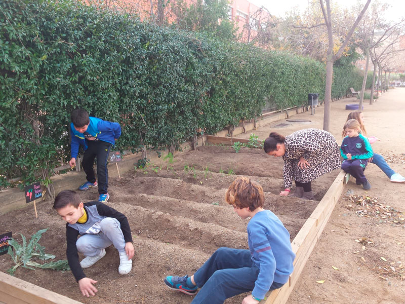 garden4