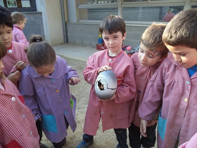 DSC03879