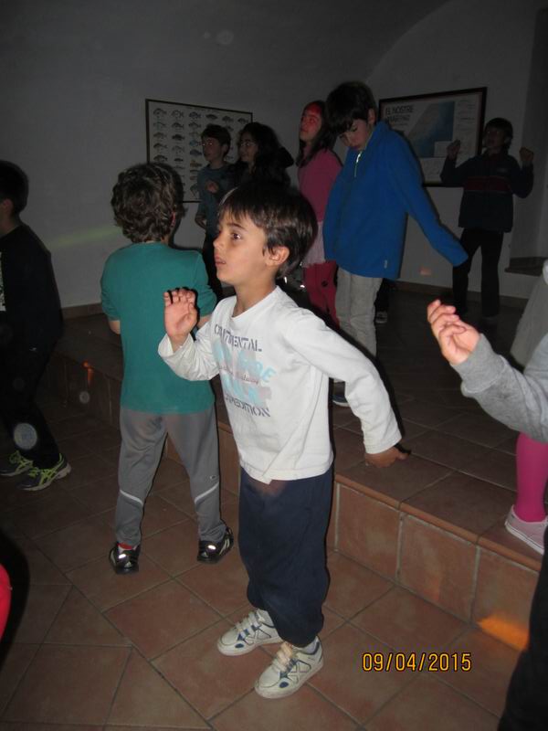 a primer 2014-15 067