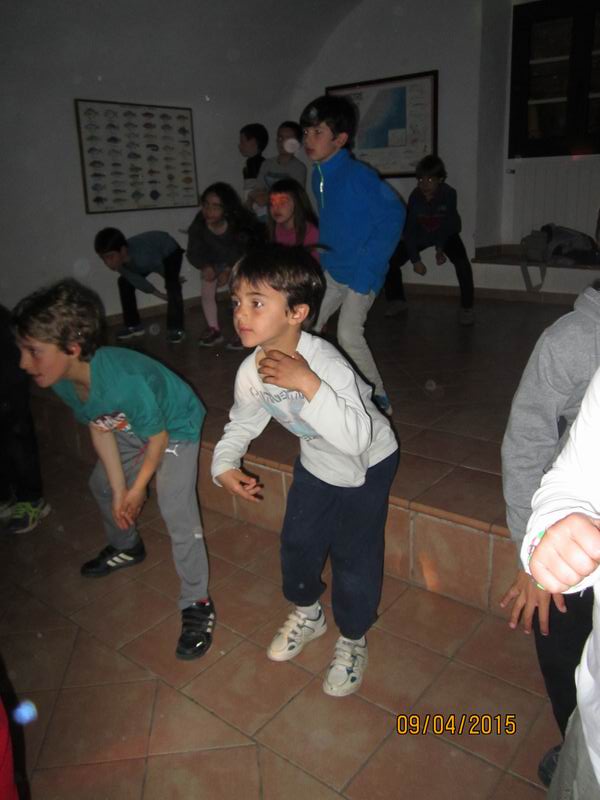 a primer 2014-15 068