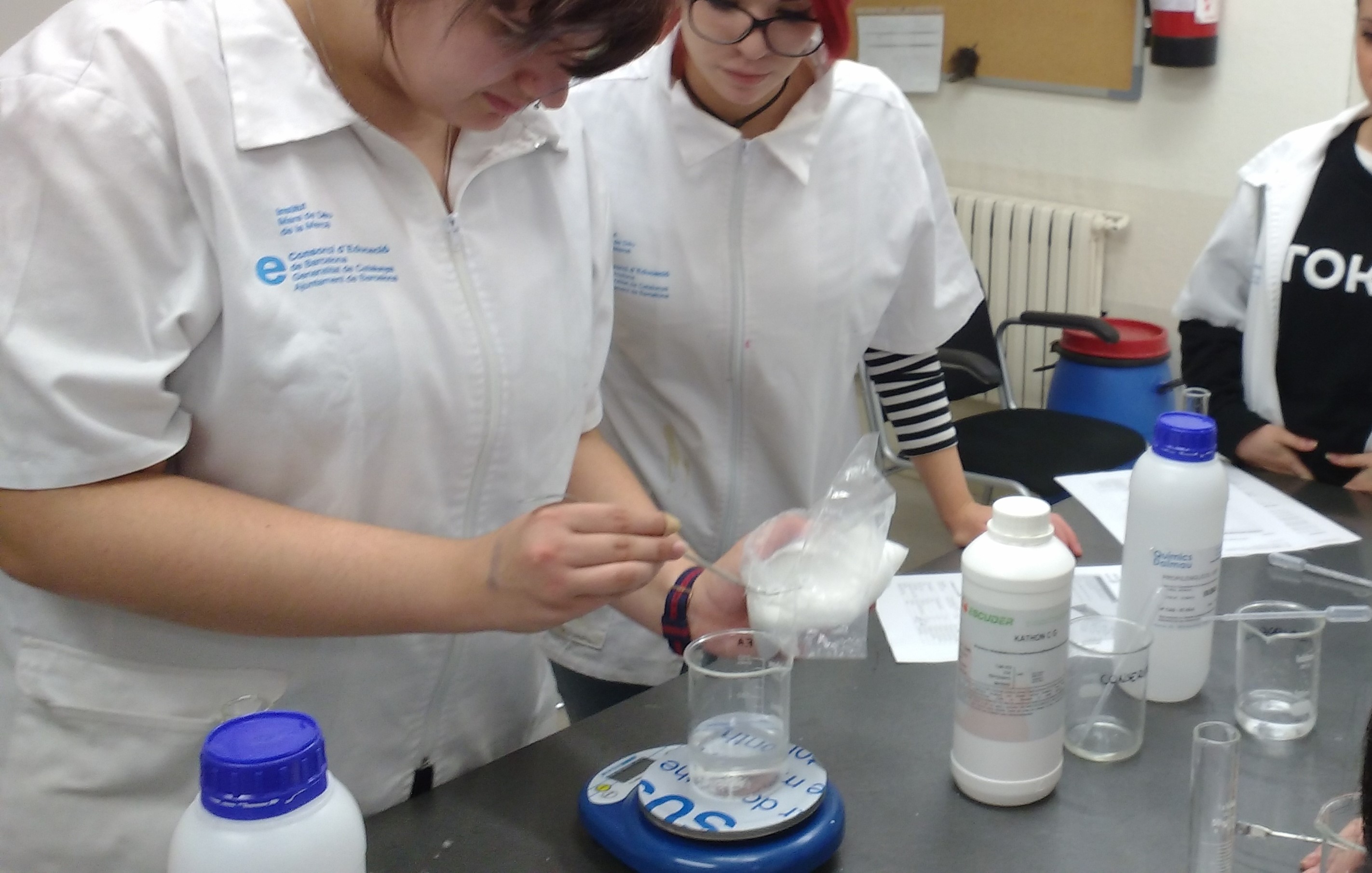 Pesada dels components