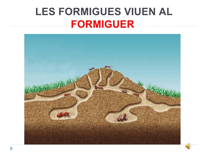 formiguer
