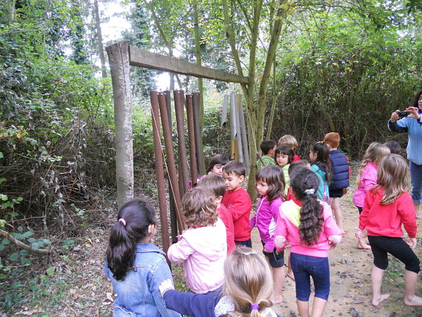 DSCN6582_opt