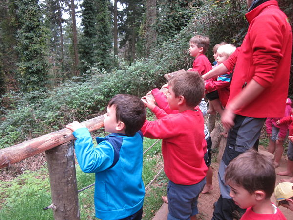 IMG_2679_opt