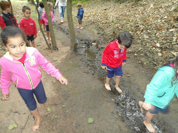 SAM_0295_opt