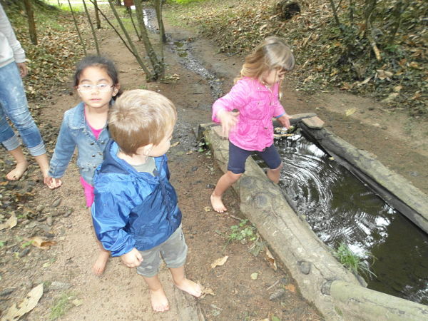 SAM_0298_opt