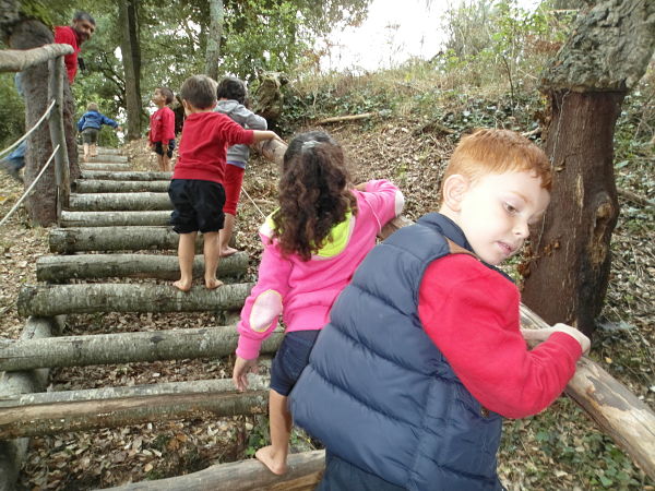SAM_0320_opt