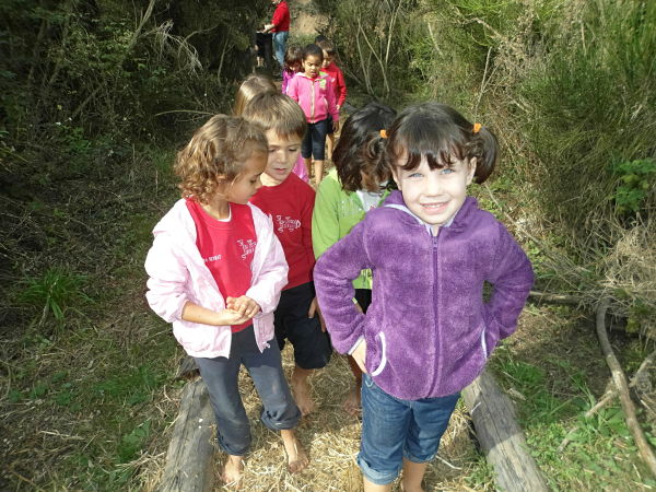 SAM_0387_opt