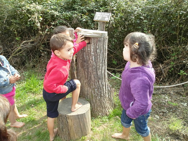 SAM_0389_opt
