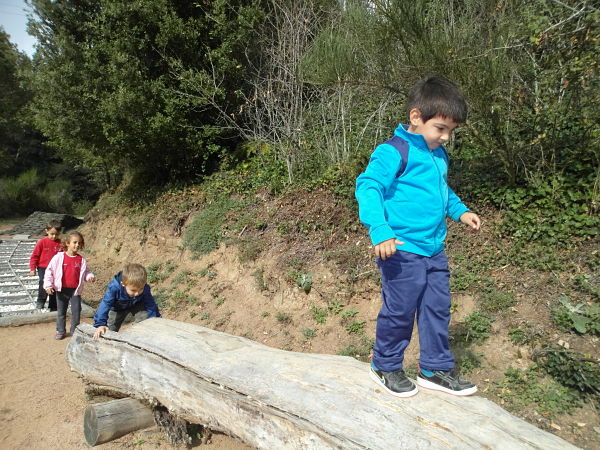SAM_0448_opt