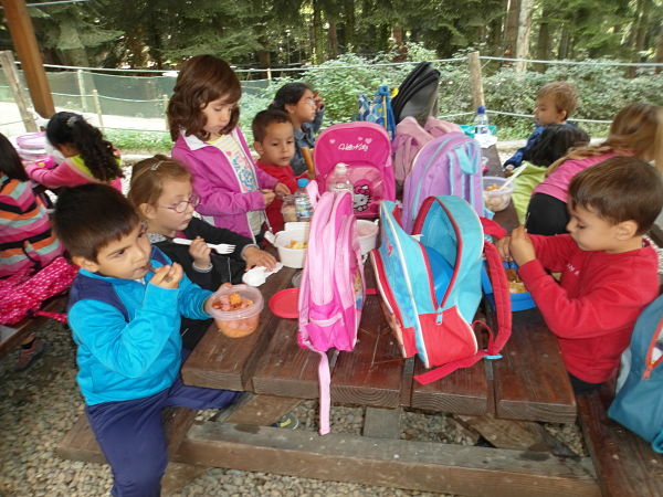 SAM_0452_opt
