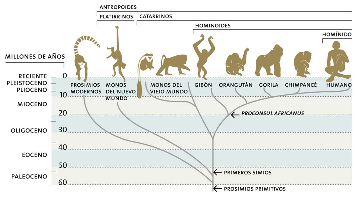 BLOC 1:La Terra , un planeta habitat | Bocins de Ciència