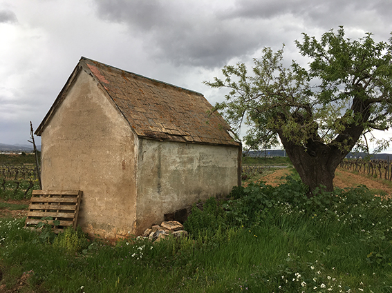 façana posterior i lateral esquerra