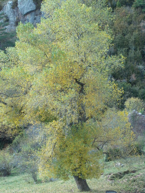 Foto 035