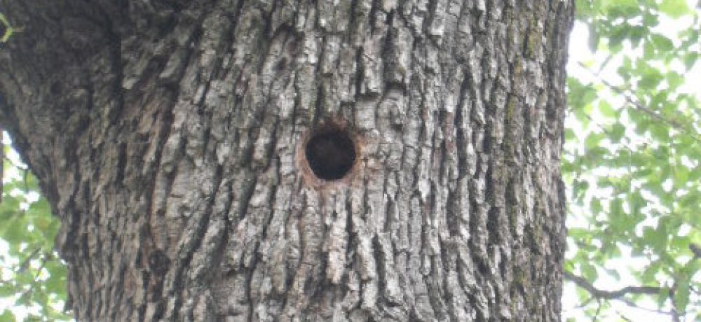 cropped-DSCF5354.jpg